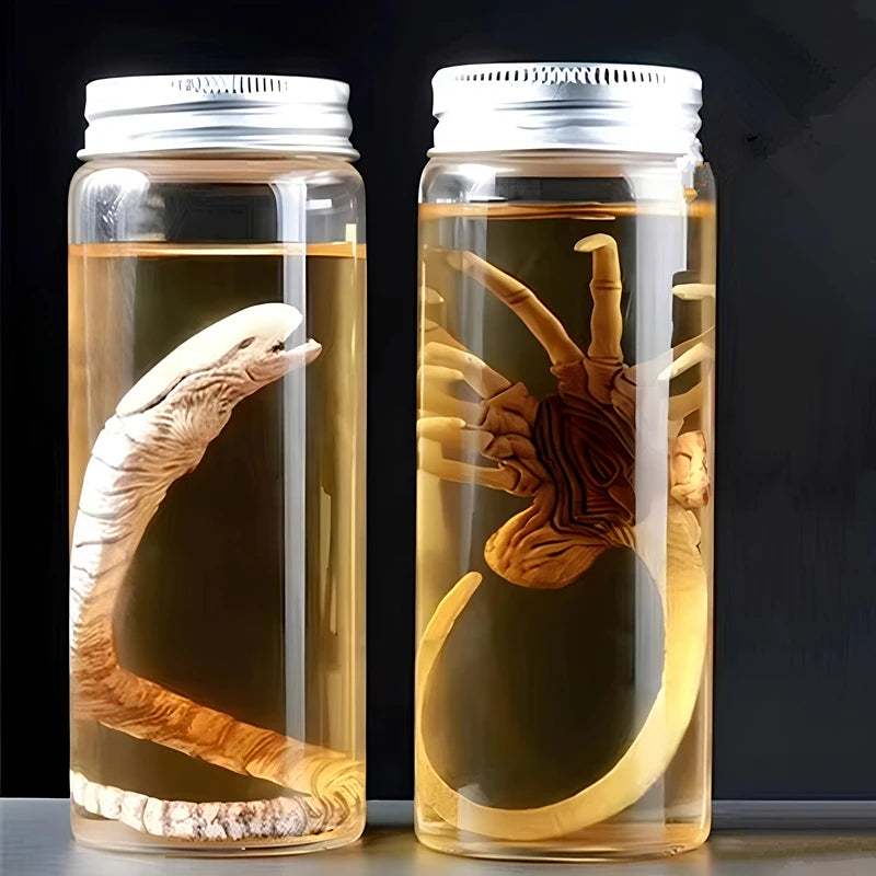 Réplica de Colección Xenomorph Specimen