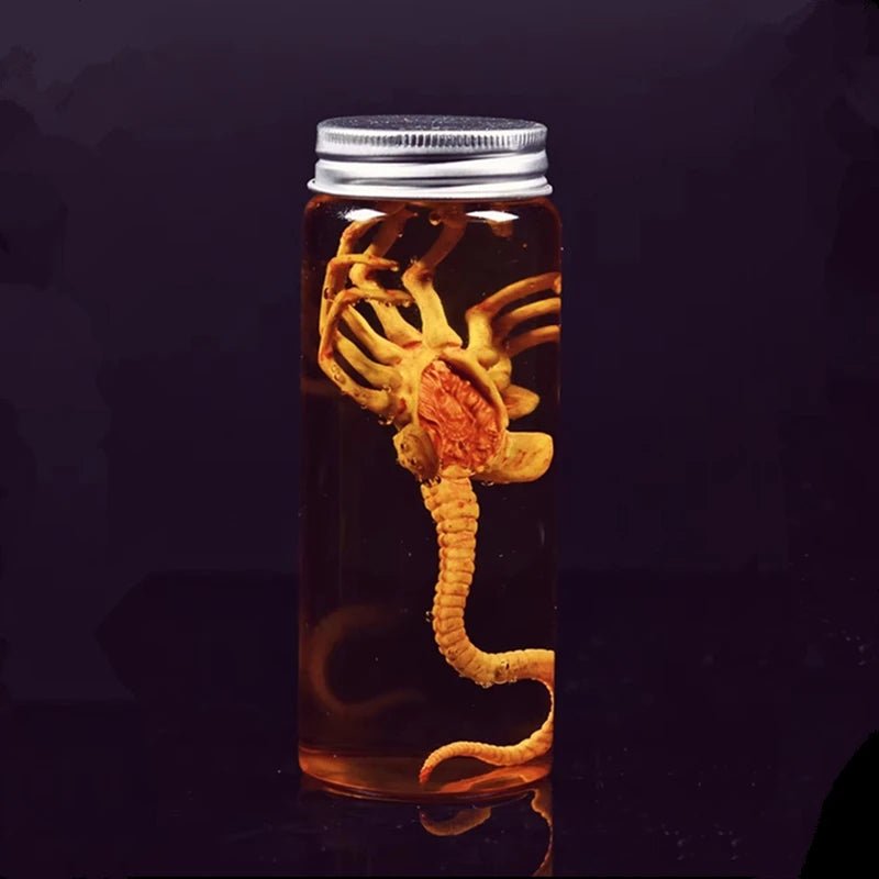 Réplica de Colección Xenomorph Specimen