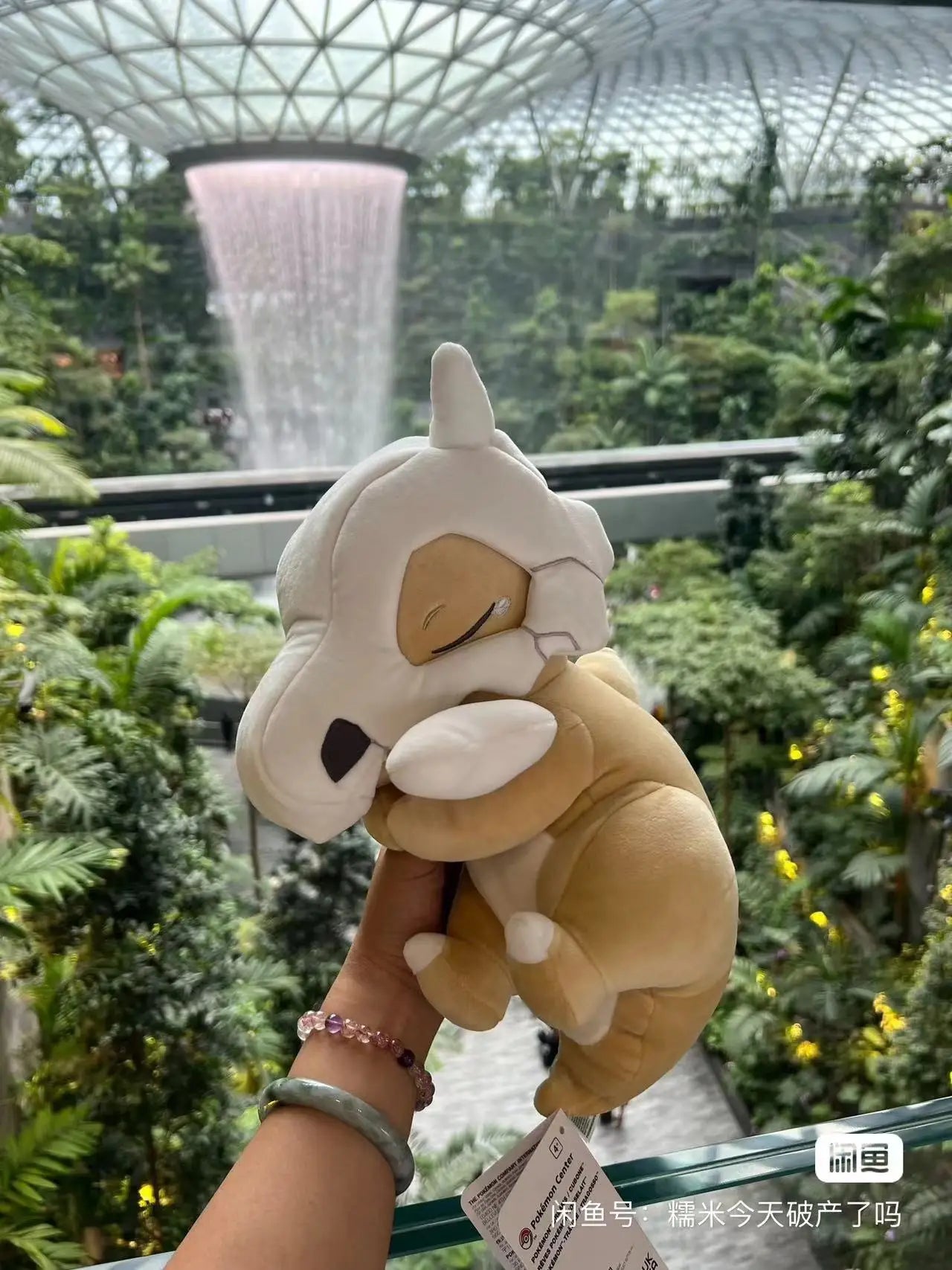 Peluche Coleccionable Pokémon