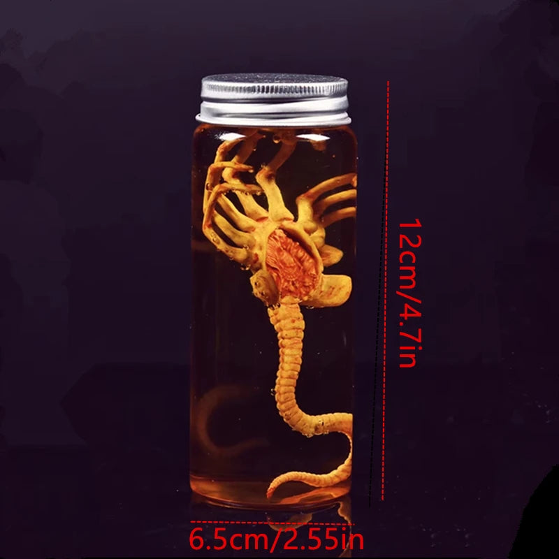 Réplica de Colección Xenomorph Specimen
