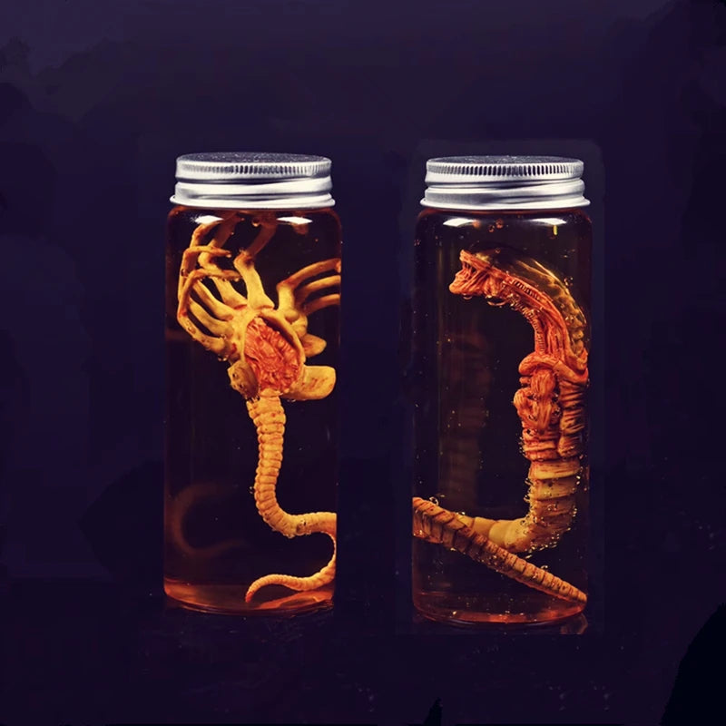 Réplica de Colección Xenomorph Specimen
